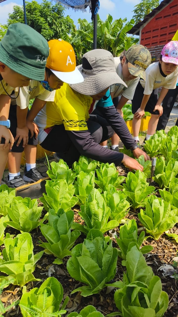 pppkpetra_IMG-20250912-WA0043