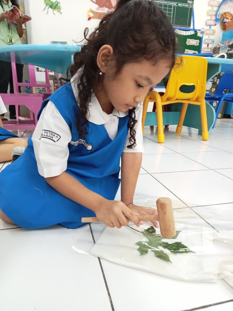 WhatsApp Image 2026-02-25 at 12.52.08